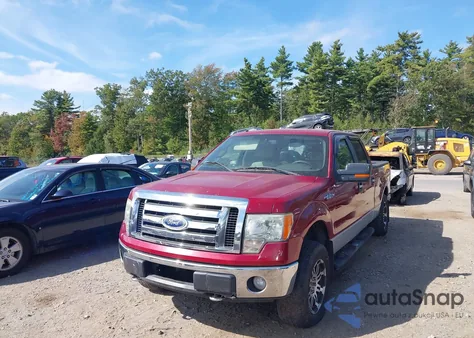 2009 Ford F-150 Fx4/King Ranch/Lariat/Platinum/Xl/Xlt from USA, damaged, VIN 1FTPW14V89FA10892